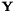 $\mathbf{Y}$