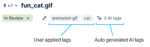 Image of P4 DAM tag examples