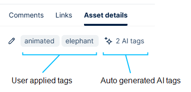 Remove tags from assets