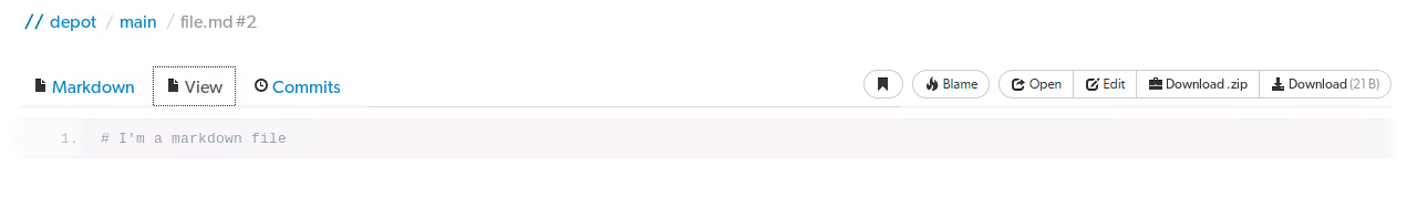 View tab for a Markdown file Image of the View tab for a Markdown file