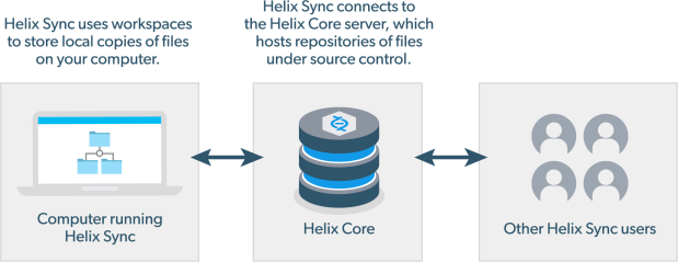 Helix Sync uses workspaces to store local copies of files on your computer. Helix Sync connects to the Helix Core server, which hosts repositories of files under source control.