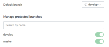 Repository branches