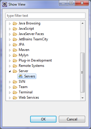 Show
View pane with Servers shown selected.