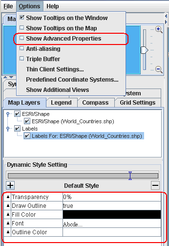 Options
menu with Show Advanced Properties not selected. Therefore Style Setting
is limited and does not include Base Text Direction.