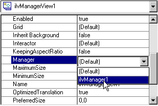 Setting
the Manager property